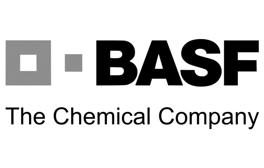 БАСФ-Восток logo